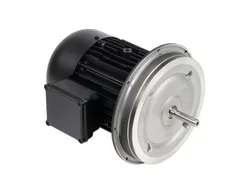 Электродвигатель Weishaupt W-D160/240-2/18K0