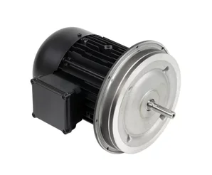 Электродвигатель Weishaupt W-D160/240-2/18K0