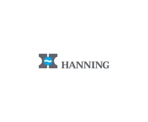 Электродвигатель Hanning O1A095-065P0025-030-001OF0-620