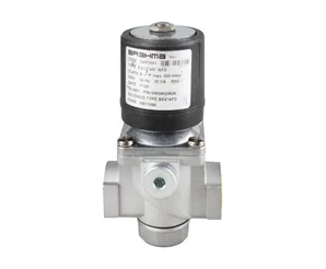 Газовый электромагнитный клапан Brahma EG12*AR*AFD 13883501