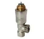 VPE110A-45 Радиаторный клапан с регулятором давления, V 25…318, DN 10 Siemens