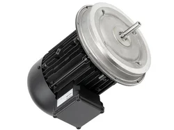 Электродвигатель Weishaupt W-D112/170-2/5K0