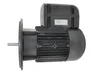 Электродвигатель Weishaupt W-D112/170-2/4K5