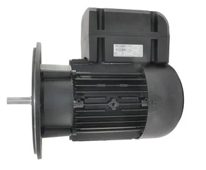 Электродвигатель Weishaupt W-D112/170-2/4K5
