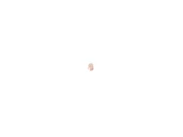 Муфта Oilon 34024202