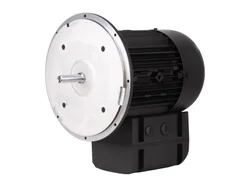 Электродвигатель Weishaupt WM-D112/140-2/3K5, 21520407300